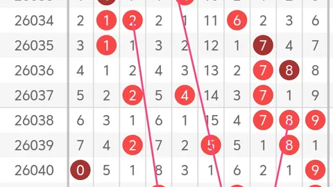 【彩运佳人】独家揭秘！福彩3D 2026025期精选万能组合，免费过滤组选，不容错过！