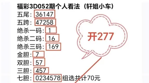 排列三2026054期华哥诗谜字谜推荐